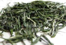 喝恩施玉露茶有什么好处，盘点恩施玉露茶的七大功效-茗扬网