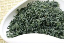 恩施玉露的功效与禁忌事项-茗扬网