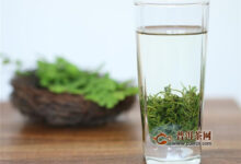 恩施玉露冲泡工序，6步成茶！-茗扬网