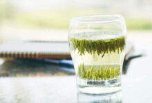 湄潭翠芽的冲泡方法与注意事项-茗扬网