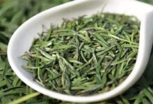 喝湄潭翠芽茶有什么好处，盘点湄潭翠芽茶的七大功效-茗扬网