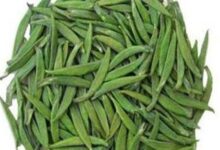湄潭翠芽的功效与禁忌事项-茗扬网