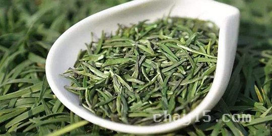 湄潭翠芽的功效与作用 湄潭翠芽的泡法