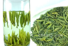 湄潭翠芽的功效与作用 湄潭翠芽的禁忌事项-茗扬网