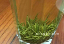 湄潭翠芽的冲泡方法,7步泡出好喝的湄潭翠芽-茗扬网