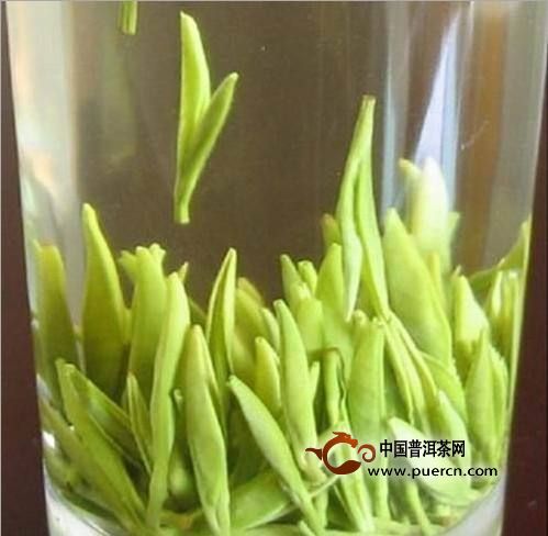 湄潭翠芽茶的保健功效，哪些人适合喝湄潭翠芽茶
