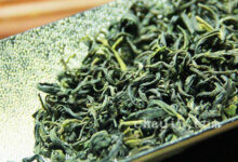 日照绿茶营养价值药用价值-茗扬网