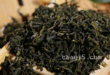 日照绿茶有哪些品种，说说日照绿茶的品种分类-茗扬网