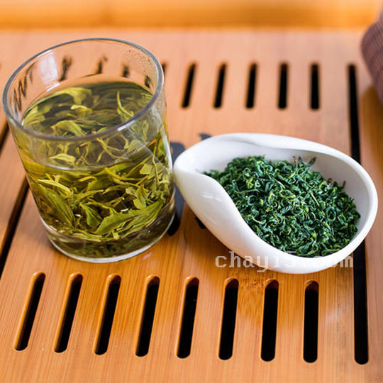 日照绿茶的冲泡方法与注意事项
