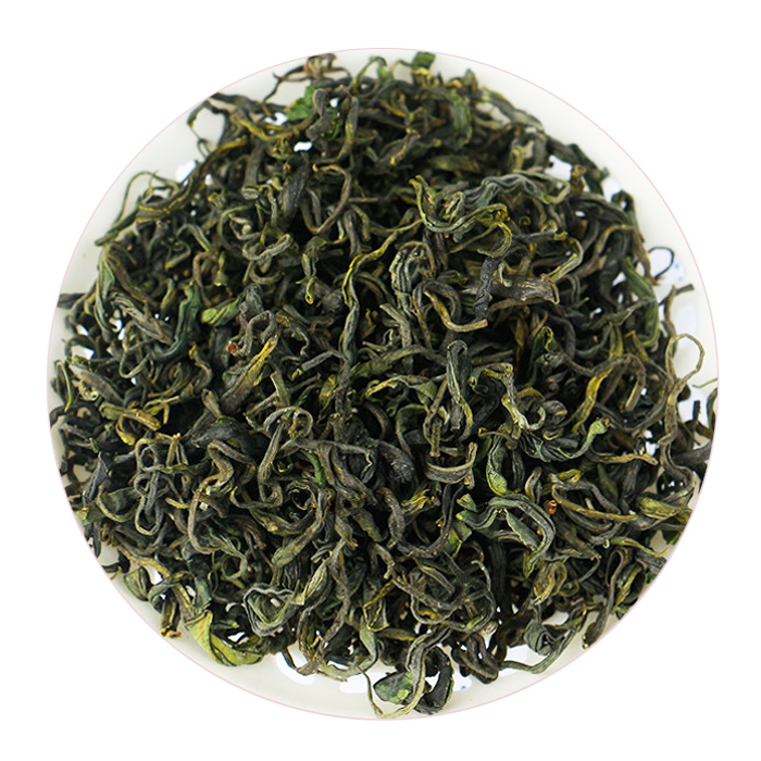 日照绿茶：北方第一茶