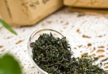 日照绿茶的功效与禁忌事项-茗扬网