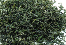 日照绿茶什么时候上市   价格多少钱一斤-茗扬网