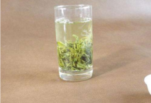 日照绿茶怎么泡   产地在哪里-茗扬网