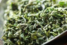 日照绿茶的功效与作用,喝日照绿茶的好处-茗扬网