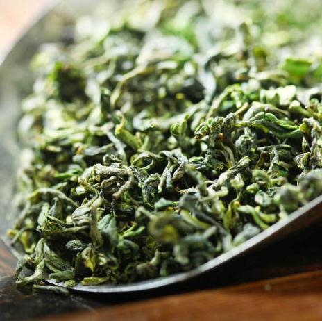 日照绿茶的功效与作用,喝日照绿茶的好处