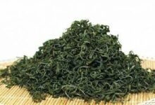 喝崂山绿茶有什么好处，盘点崂山绿茶的七大功效-茗扬网