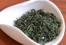 崂山绿茶的功效与禁忌事项-茗扬网
