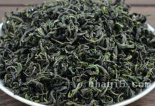 崂山绿茶的功效与作用 崂山绿茶的禁忌事项-茗扬网
