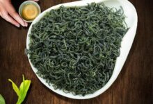 崂山绿茶的功效与作用,喝崂山绿茶的好处-茗扬网