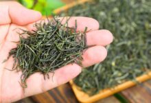 南京雨花茶的功效与作用-茗扬网