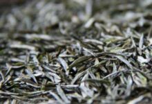 雨花茶的功效与禁忌事项-茗扬网