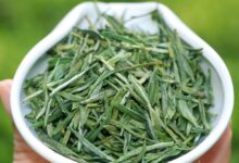 喝岳西翠兰茶对身体有什么好处-茗扬网