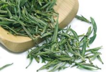 岳西翠兰的功效与禁忌事项-茗扬网