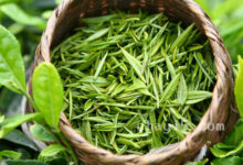 岳西翠兰的功效与作用 岳西翠兰什么时候喝最好-茗扬网