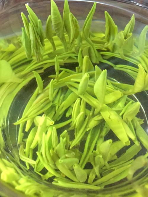 喝保靖黄金茶有什么好处，盘点保靖黄金茶的七大功效