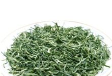 保靖黄金茶的功效与禁忌事项-茗扬网