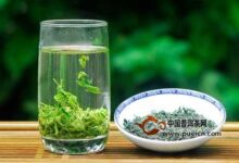 保靖黄金茶功效与作用-茗扬网