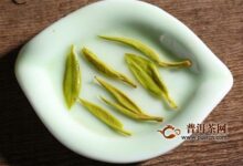 保靖黄金茶的功效与作用，可降低胆固醇！-茗扬网