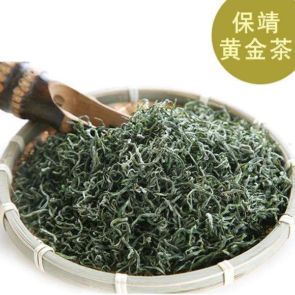 保靖黄金茶的功效与作用
