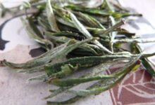 舒城小兰花的功效与禁忌事项-茗扬网