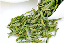 舒城小兰花的功效与作用 舒城小兰花的禁忌事项-茗扬网