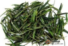 舒城小兰花有什么功效-茗扬网