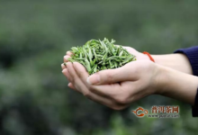 径山茶礼盒62.5克价格-茗扬网