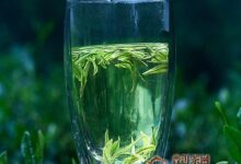 径山茶怎么泡?径山茶的冲泡技巧-茗扬网