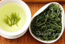 开化龙顶的功效与作用 开化龙顶的禁忌事项-茗扬网