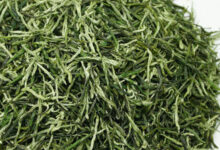 喝古丈毛尖茶对身体有什么好处-茗扬网