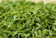 古丈毛尖如何选购正宗的 多少钱一斤-茗扬网