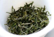 庐山云雾茶的功效与禁忌事项-茗扬网