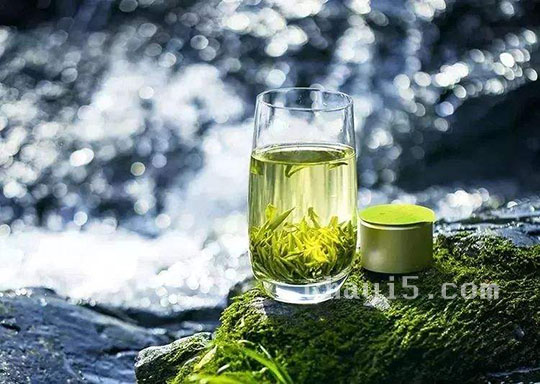 茶叶庐山云雾茶的作用与禁忌