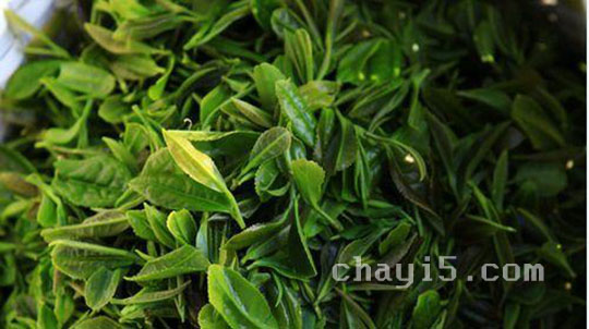 茶叶庐山云雾茶的作用与禁忌