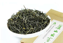 庐山云雾茶的功效与作用 庐山云雾茶的禁忌事项-茗扬网