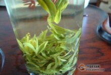 如何挑选庐山云雾茶【挑选技巧分享】-茗扬网