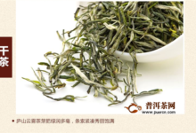 庐山云雾茶和黄山毛峰的产地及其环境-茗扬网