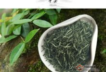 庐山云雾茶的保健养生功效及其禁忌都有哪些？-茗扬网