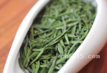 茶叶峨眉雪芽的作用与禁忌-茗扬网