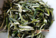 峨眉雪芽是什么茶？峨眉雪芽好喝吗-茗扬网